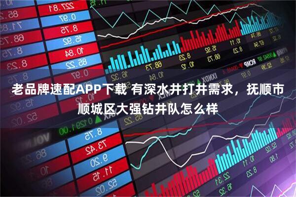 老品牌速配APP下载 有深水井打井需求，抚顺市顺城区大强钻井队怎么样